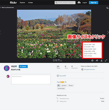 ダウンロードしたい画像サイズをクリックします。