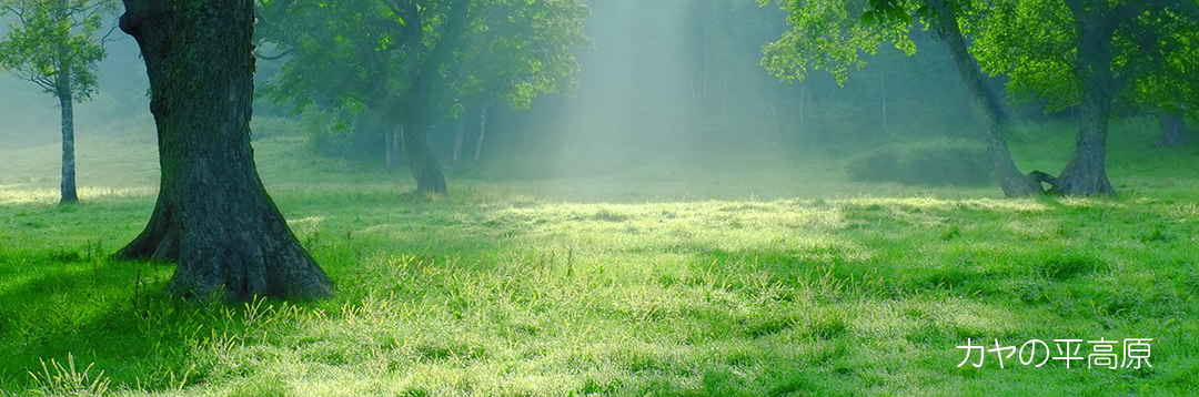 カヤの平高原