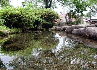 龍興寺清水の写真