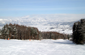 木島平スキー場 ファミリーコース