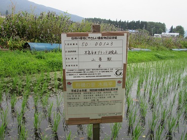 写真：特別栽培を行っている水田　看板