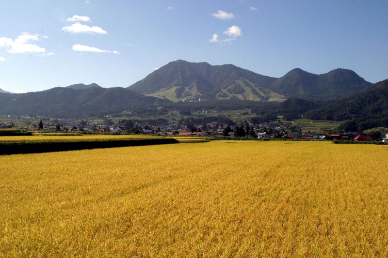 秋の田（秋）