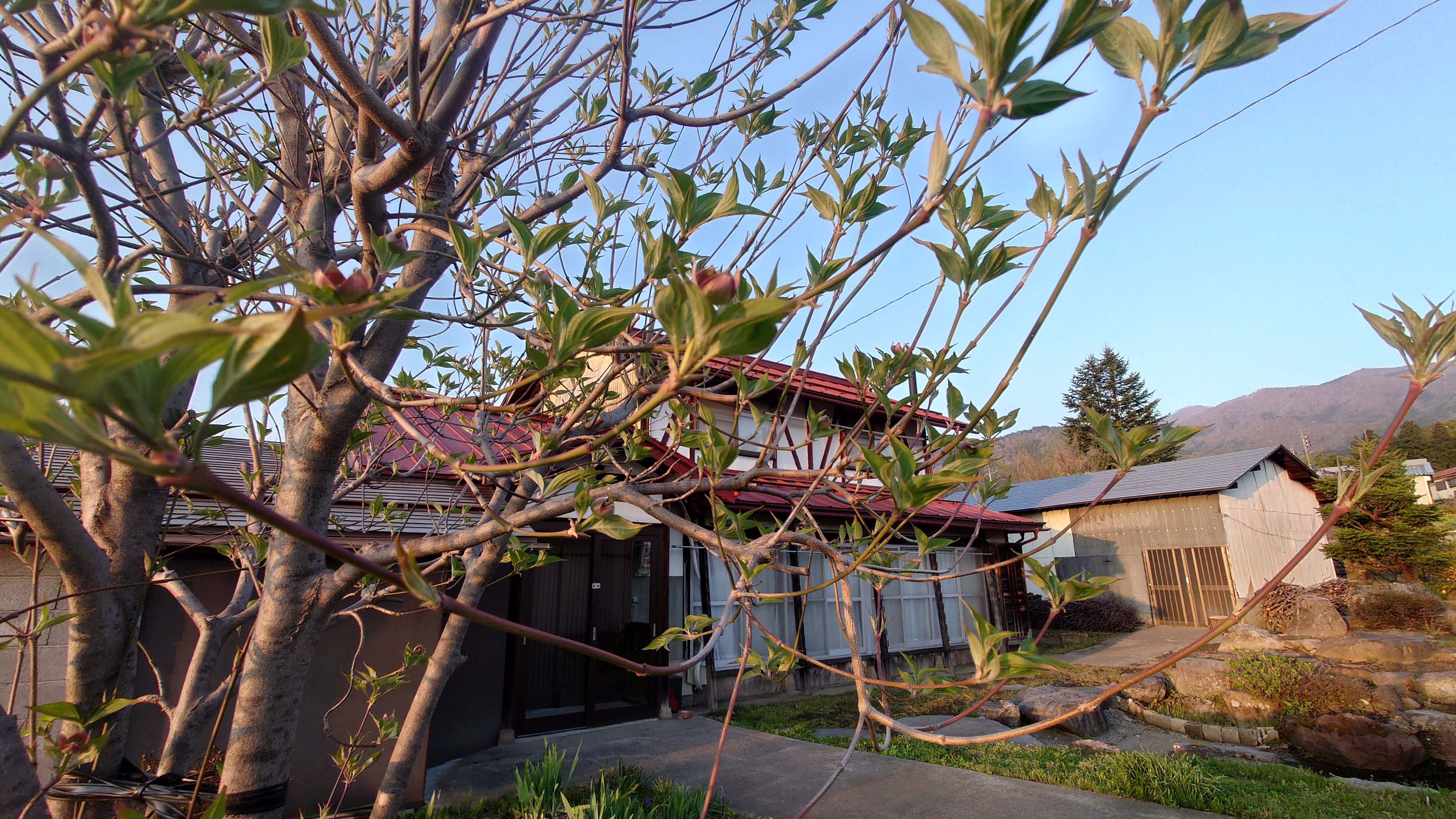 house 木島平村空き家バンクを通じて購入した古民家の写真