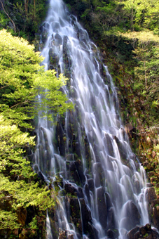 樽滝放水の写真