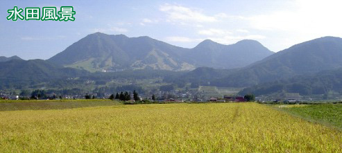 写真7 写真7