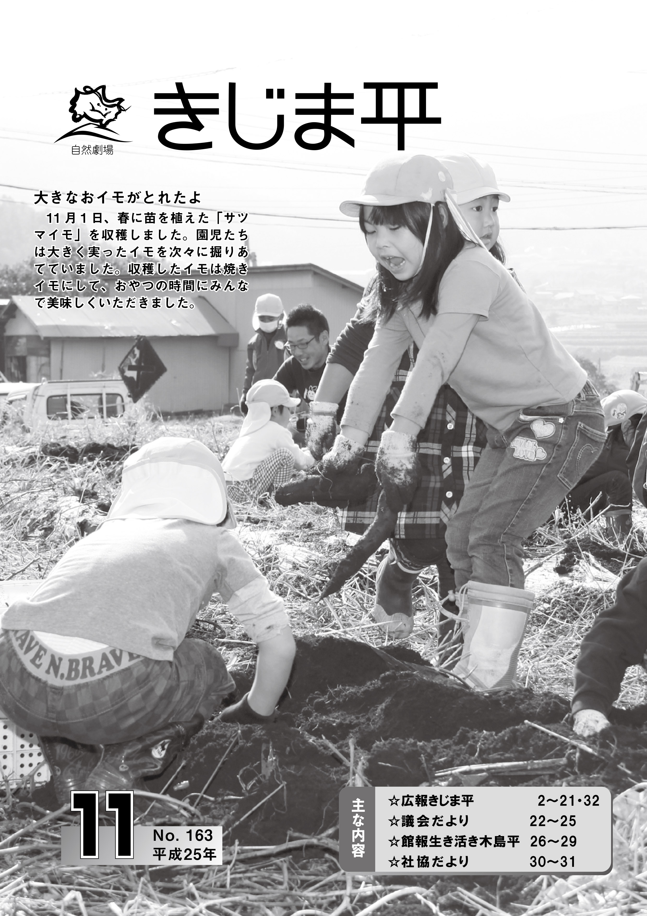 広報きじま平〔平成25年11月号〕の表紙 サツマイモ収穫をする園児の様子