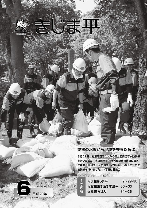 平成29年6月号