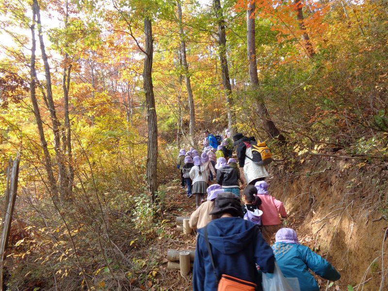 保育園児と大人たちが秋の野山を散策している写真