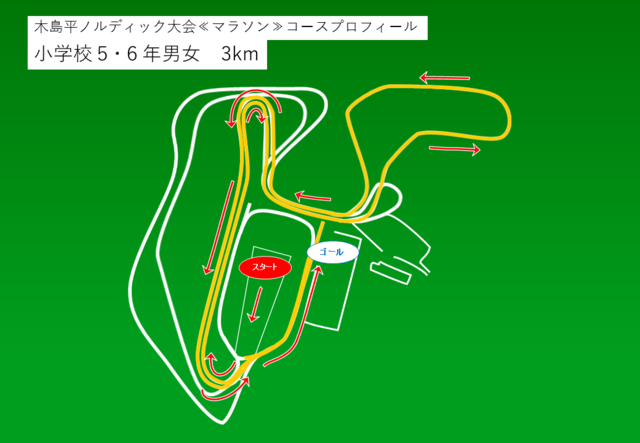 マラソンコース（小学校5･6年男女）。詳しくは担当課へお問い合わせください。