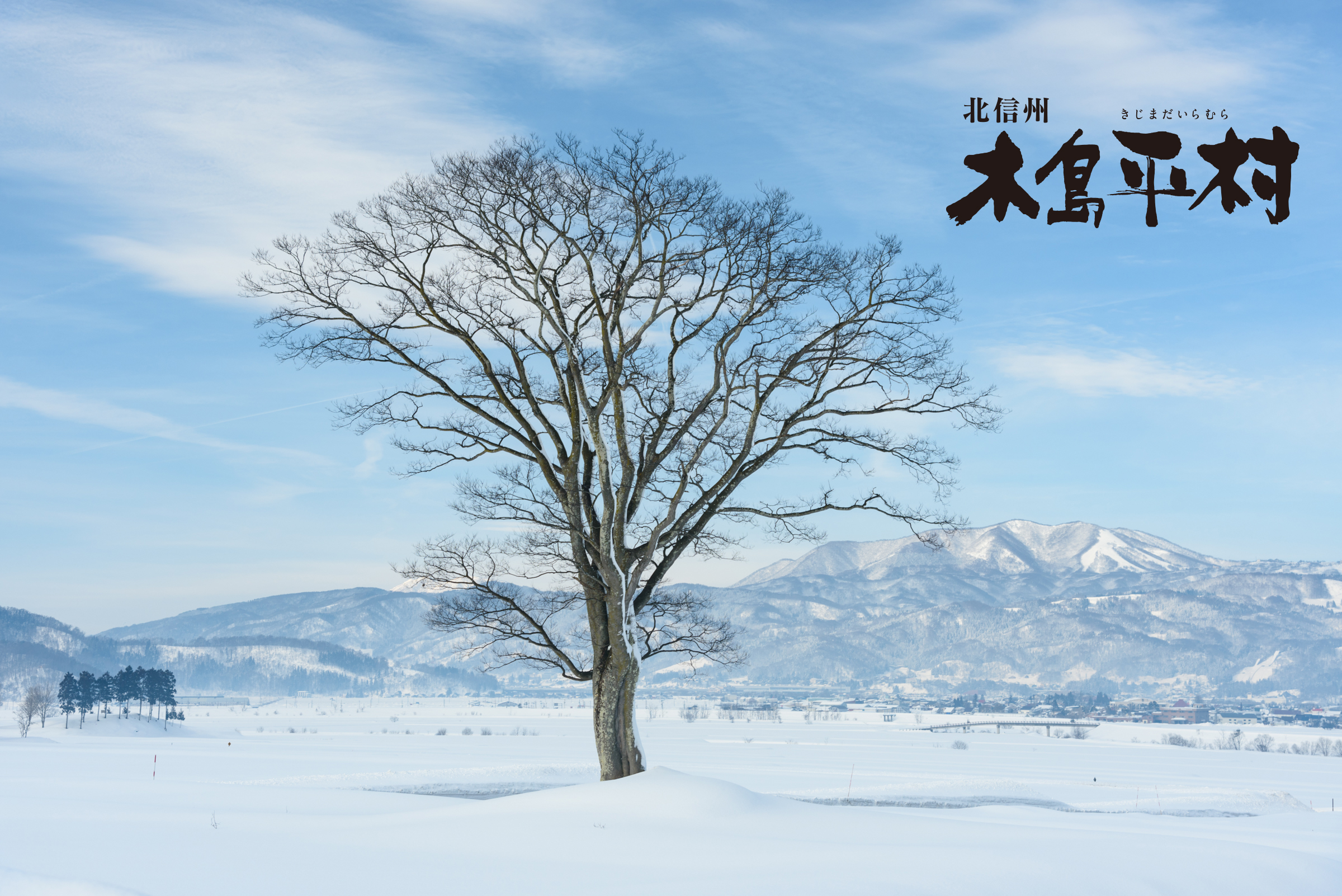 木島平村の冬景色