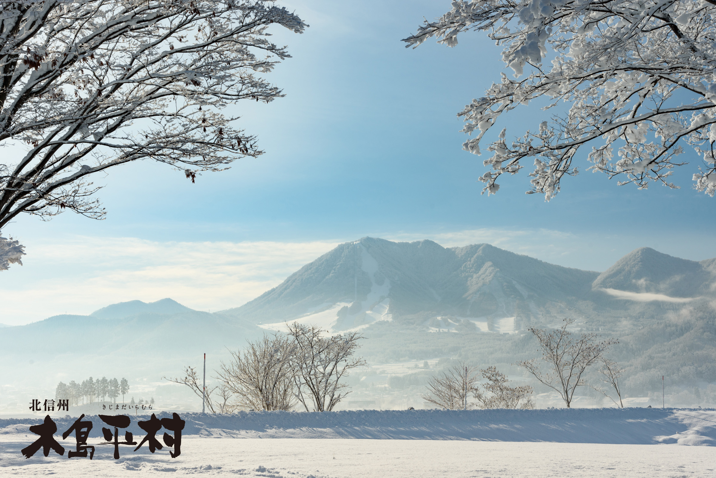 冬の高社山の様子