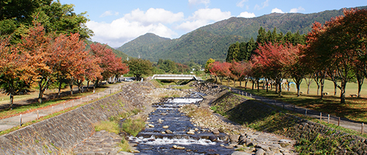 両側の紅葉した樹木の間を流れる馬曲川の写真