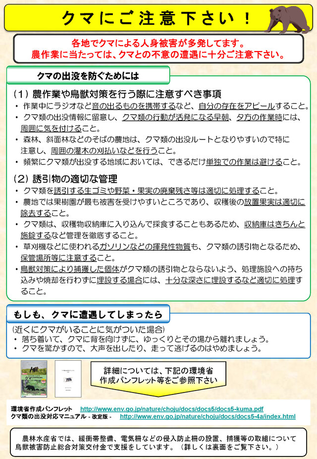 クマ