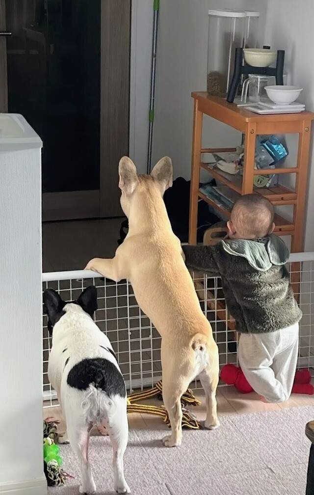 【入賞】パパまだかな～？