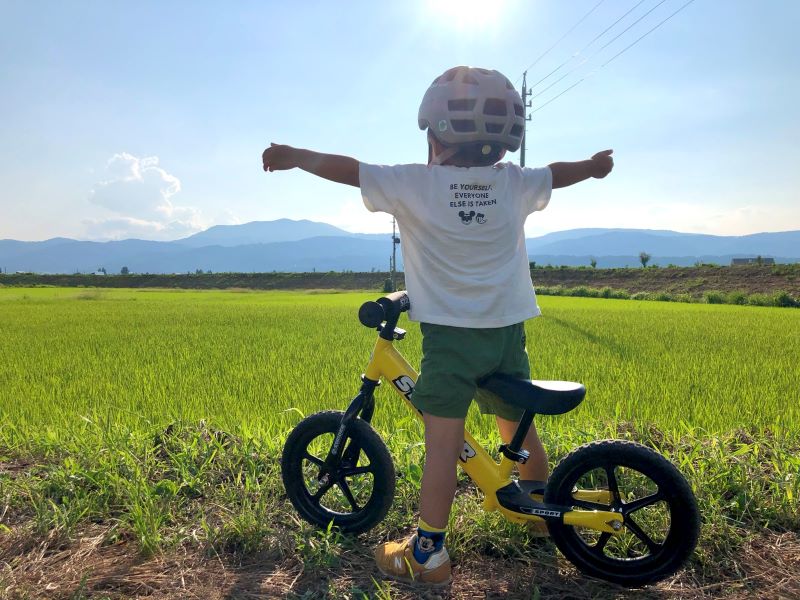 	木島平村の稲穂がたわわに実る田んぼを前に両手を広げて子どもがこちらを背にして立っている写真