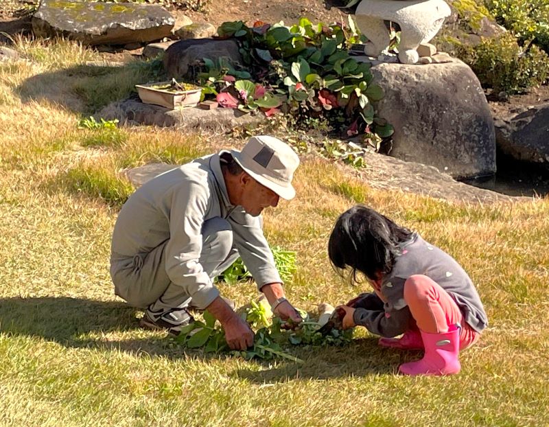 木島平村で春の芽吹きの中祖父と孫娘が遊んでいる様子の写真