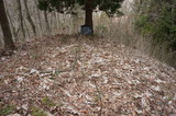 DSC05909